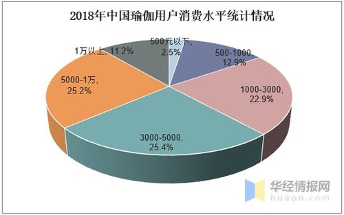 瑜伽行业发展现状及趋势分析,瑜伽运动产品多样化发展 图