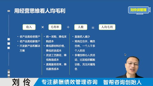 绩效咨询公司 第8集 增量绩效与增量激励操作实务